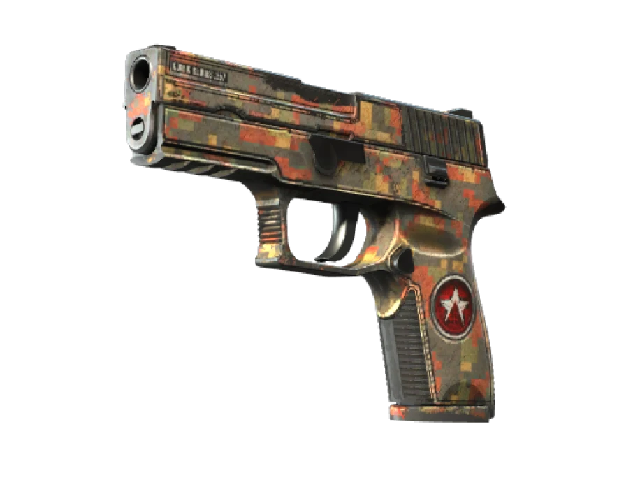 P250 | Red Rock (Battle-Scarred) - Image 1