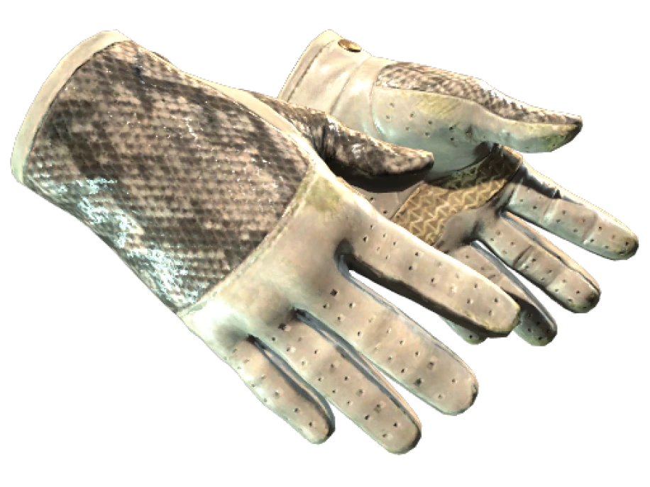 ★ Driver Gloves | King Snake (Field-Tested) - Image 1