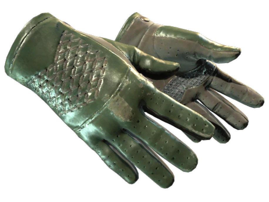 ★ Driver Gloves | Racing Green (Well-Worn) - Image 1