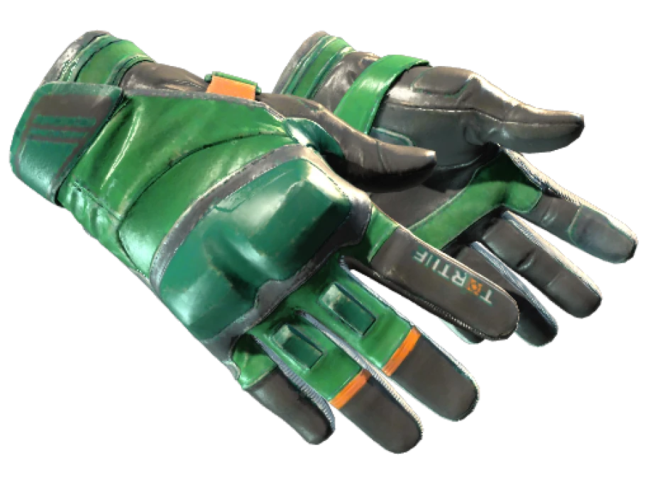 ★ Moto Gloves | Turtle (Well-Worn) - Image 1