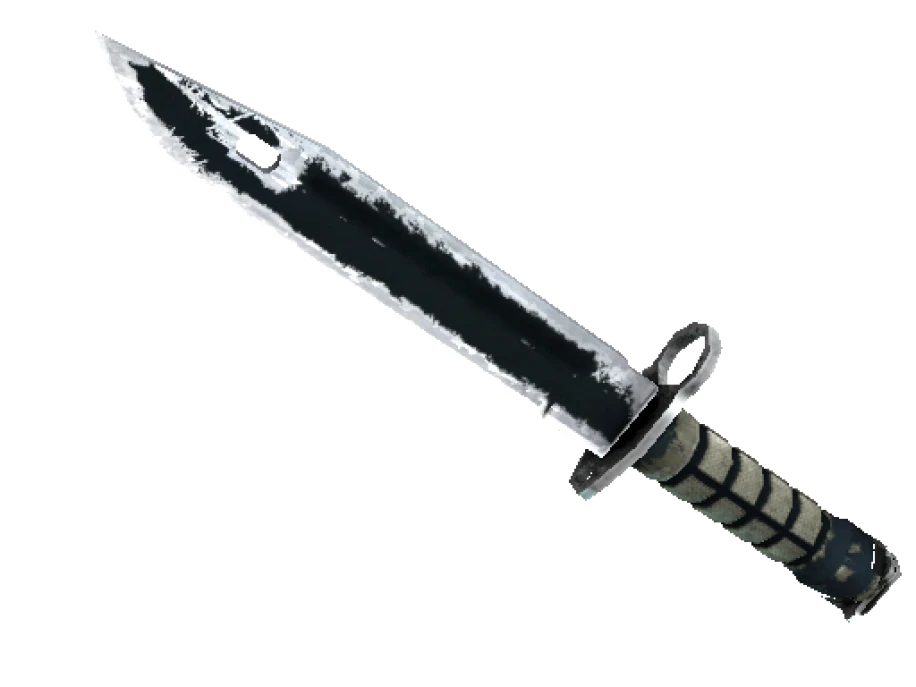 ★ StatTrak™ Bayonet | Night (Battle-Scarred) - Image 1